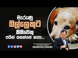 මැරුණු බල්ලෙකුට කිසිවෙකු පයින් ගසන්නේ නැත..  Law of Success -Napoleon Hill