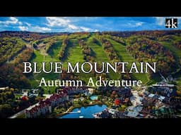 Discover Blue Mountain in Autumn - Discover Beautiful Fall Colours, Waterfalls and Lookout Points