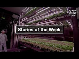 Finfluencer Advice Revolution & Start-Up Grows Veg in Supermarkets | WEF | Top Stories of the Week