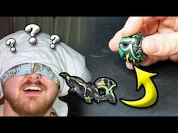 Guessing Bakugan Blindfolded!