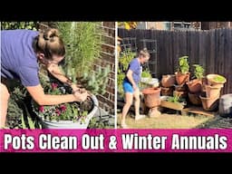 Organizing Garden Pots for Winter 🌿 | Adding Winter Color with Pansies & Snapdragons in Containers