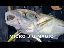 Some of the best early summer fishing with micro jigs