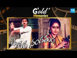 Gold Memories of Sagara Sangamam | Kamal Hasan | Jaya Prada | K. Viswanath | @SakshiTVFlashBack