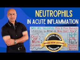 Neutrophils in Acute Injury | Hematology | Pathology