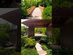 ⛩️ Anderson Japanese Gardens 🌳 in ILLINOIS📍 #andersonjapanesegardens #japanesgarden #travelillinois