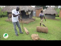 Making a Standard Local Bee Hive That Will Attract Big Swarms of Bees