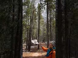 Eating out of the palm of her hand #colorado #rockymountainnationalpark  #hike #trail