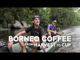 UPRIVER BORNEO | In Search of the Best Coffee in Sarawak