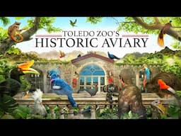 Zoo Tours: The Historic Aviary | Toledo Zoo