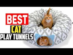 ✅Top 5 Best Cat Play Tunnels of 2024