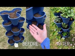 *NEW* Stackable Planter DIY / Before & After / Q & A / Dollar Tree Stackable Planter Vertical Garden