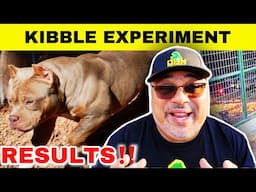 Ultimate Guide: Best Dog Food for American Bullies & Puppies in 2025!