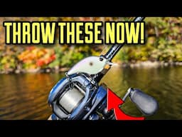 Catch MORE Bass with Fall's BEST Crankbait!