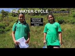 The Water Cycle & The Cloud Forest by Harford Primary School Pupils