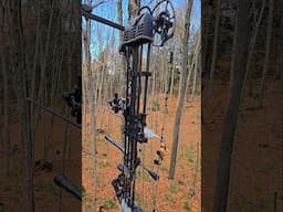 Hanging around 15 feet up #shorts #bowhunting #archery #arrow #saddle #outdoors #whitetaildeer #fyp