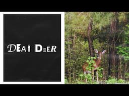 dear deer