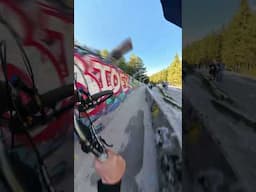 70km/h Brakeless MTB Bobsled POV