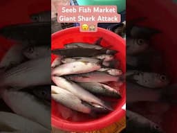 Seeb Fish Market-Family Market Day