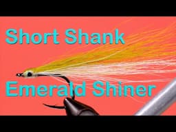 Emerald Shiner Streamer - Short Shank Version