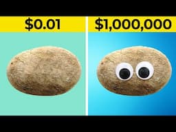 The Pet Rock: How a Stupid Idea Makes Money