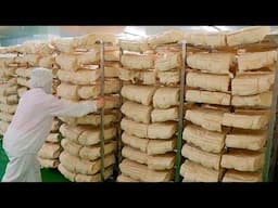 Bread Crumbs Mass Production / 麵包粉量產工廠 - Taiwan Food Factory