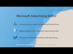 Microsoft Advertising Editor