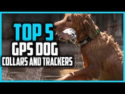 ✅Top 5 Best GPS Dog Collars and Trackers in 2025