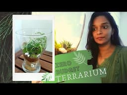 How to make a terrarium for free | Zero budget terrarium