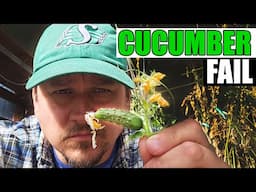 My Big Fat Cucumber Fail