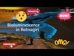 bioluminescence in ratnagiri | bike ride #bioluminescence