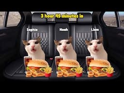 Cat Animation Memes Road Trip 10 Hour