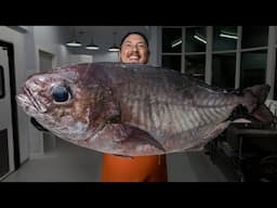 The Fish You've Never Heard Of