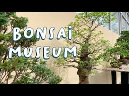 Bonsai Tree Museum Tour at Brooklyn Botanic Garden 🌸