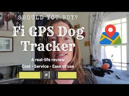 Should you buy the Fi GPS dog tracker?