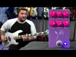 A Guitar Pedal That Works SURPRISINGLY Well on Bass! // JHS The Violet