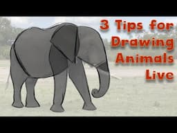 3 Tips for Drawing Animals From Life