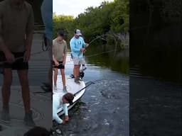 We’ve watched Reed grow up on camera! 🎥Tarpon Fishing With Reed Tudor 👑 #fishing