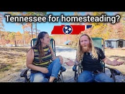 Is Tennessee ACTUALLY a good place to Homestead?