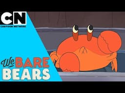 We Bare Bears वी बेर बेयर्स | कैप्टन क्राबू | Cartoon Network