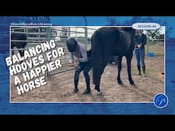 Mustang care: balancing hooves for a happier horse