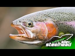 Steelhead Alley The Official Movie (Midwest Steelhead Fishing)