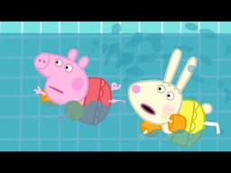 Heo Peppa | Bơi lội | Phim Hoạt Hình Cho Trẻ Em