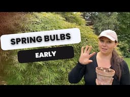 🌷 How to Force Spring Bulbs 🌷