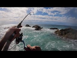 Light Tackle Rock Fishing