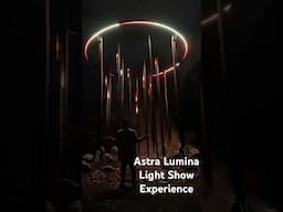 Astra Lumina Light Show Experience at Seattle Chinese Garden