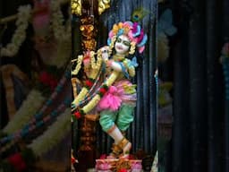 Jai Krishna Hare🍀🌳💐🐉Jai Shyam Hareh(Heera Moti (1-7-1979)