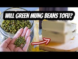 Will GREEN Mung Beans TOFU? | Mary's Test Kitchen