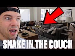 WE FOUND A SNAKE IN OUR COUCH! YOU WON'T BELIEVE HOW IT GOT THERE! SNAKES IN THE HOUSE