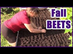 Beets | Fall Garden Planning And Planting