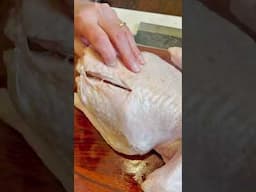 Two-Hour Turkey: Part One